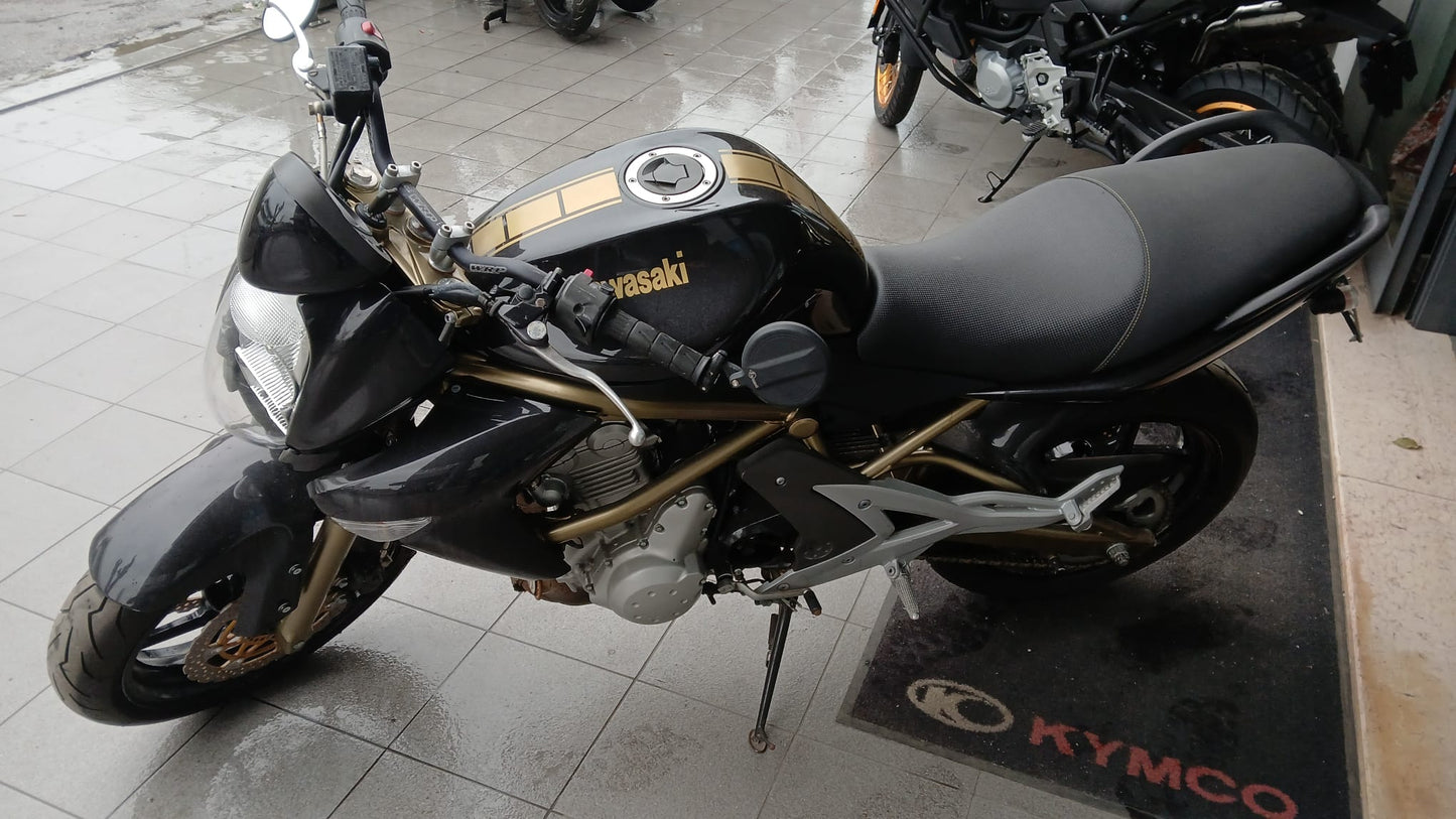 Kawasaki ER-6N (2006 - 09)
