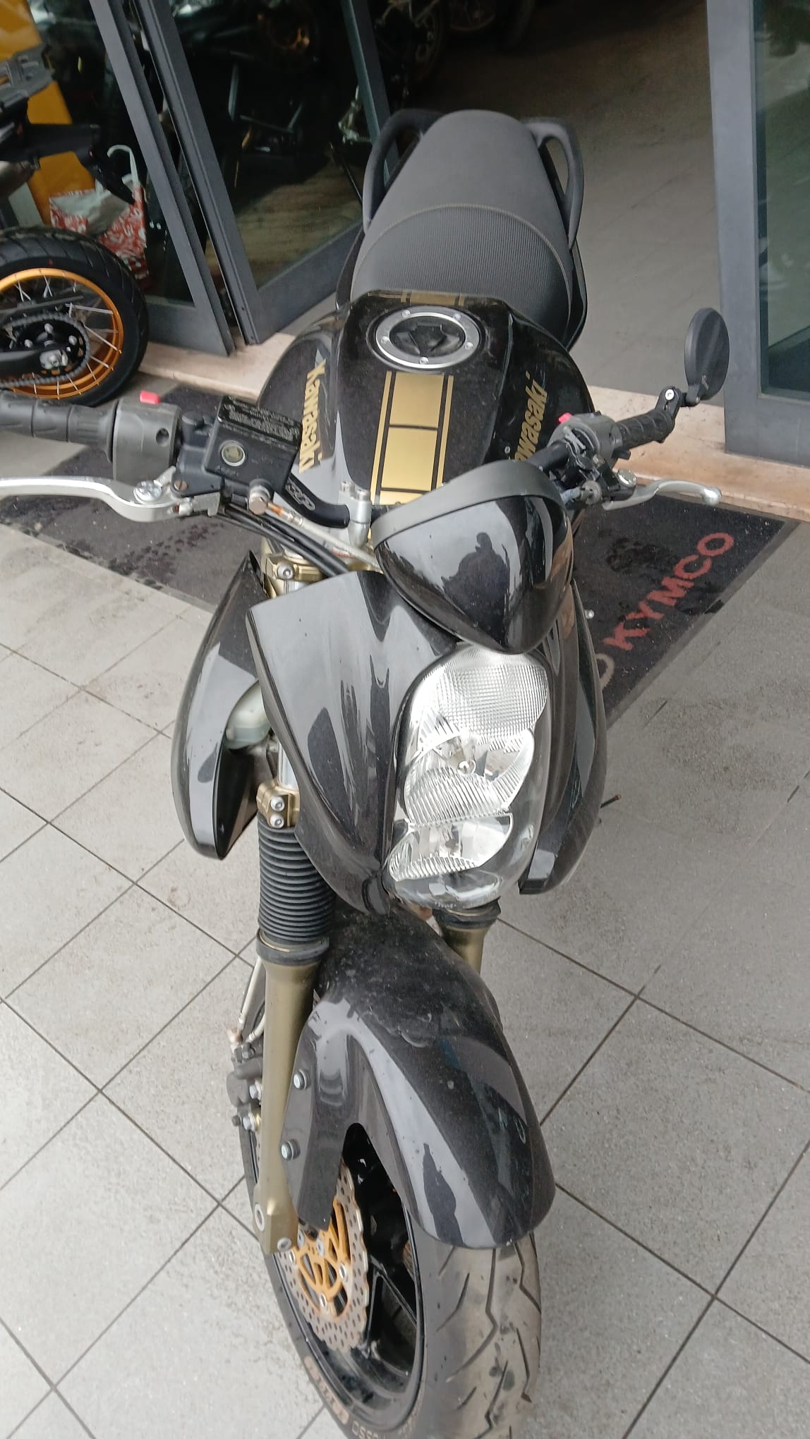 Kawasaki ER-6N (2006 - 09)
