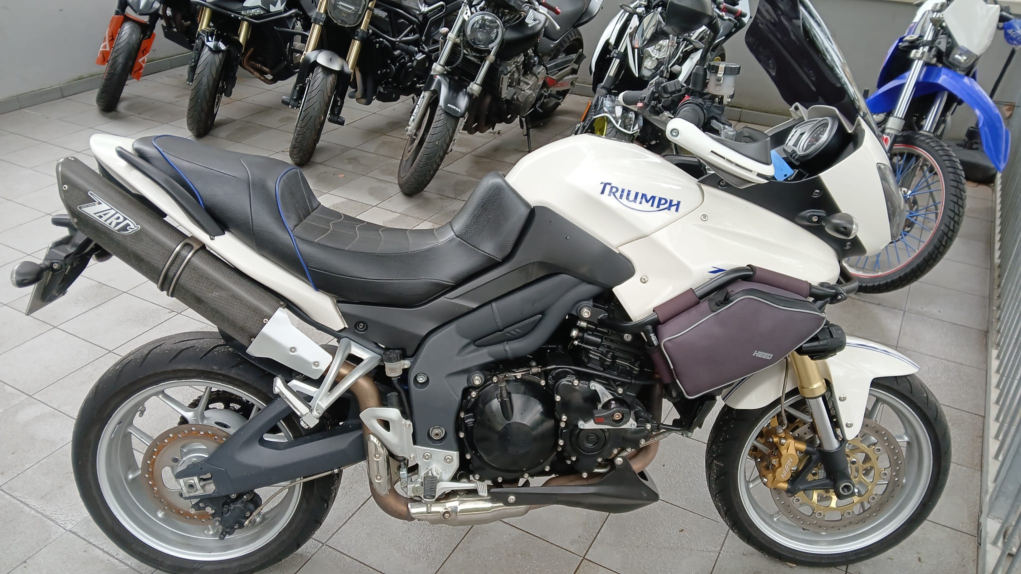 10 Migliori cupolino triumph tiger 1050 In Italia 10 Migliori cupolino triumph tiger 1050 In Italia