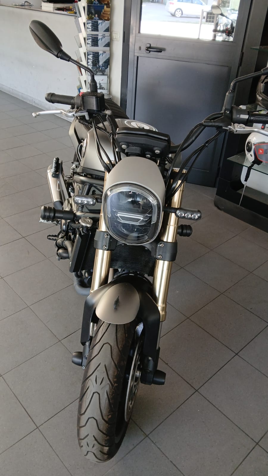 Benelli Leoncino 800 (2022 - 24)