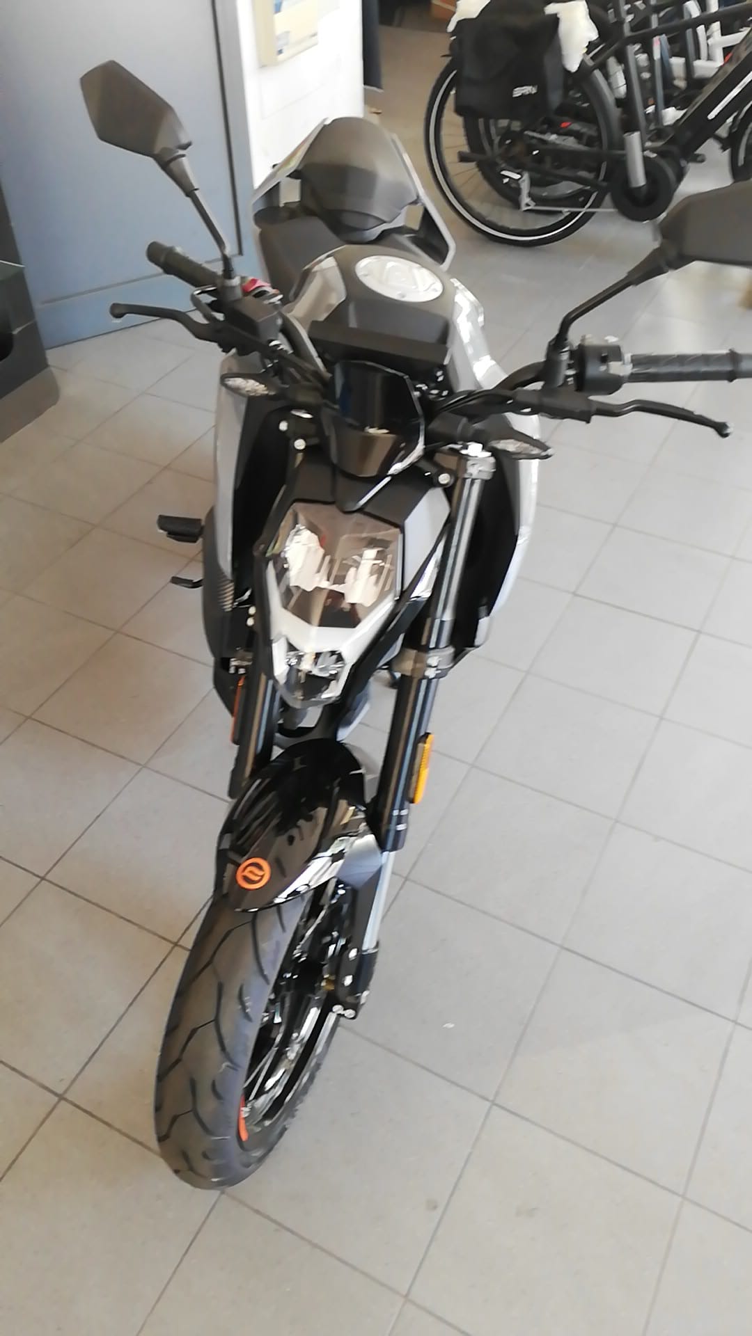 CF MOTO 300NK  (2023-24)
